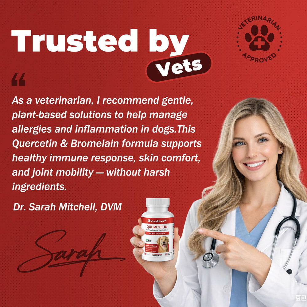 VivaElixir packaging beside a relaxed dog suggesting immune and overall wellness.