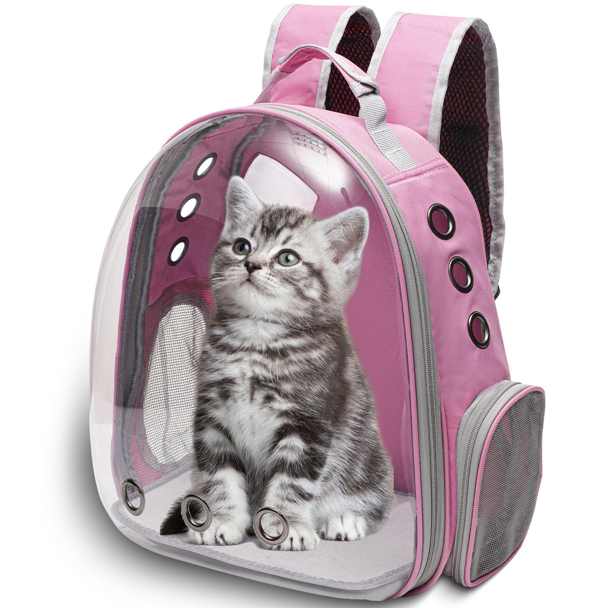 Vivicreate backpack with ventilated mesh sides for improved airflow.