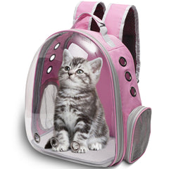 Vivicreate backpack with ventilated mesh sides for improved airflow.