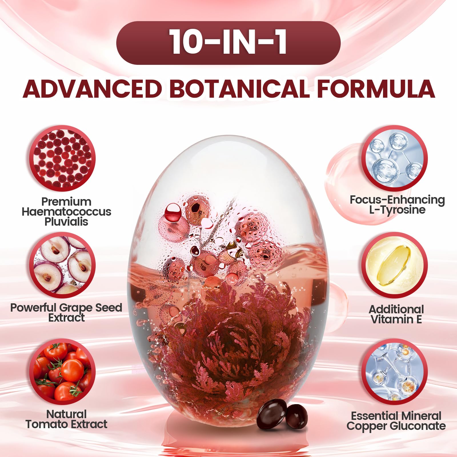 VivoNu grape seed extract capsules emphasizing OPC rich ingredients