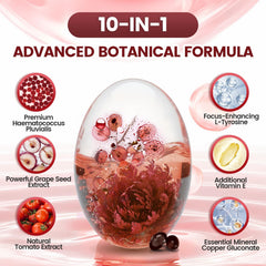VivoNu grape seed extract capsules emphasizing OPC rich ingredients