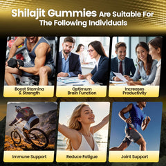 VivoNu Pure Himalayan Shilajit Gummies ingredients Fulvic acid minerals highlight mineral support.