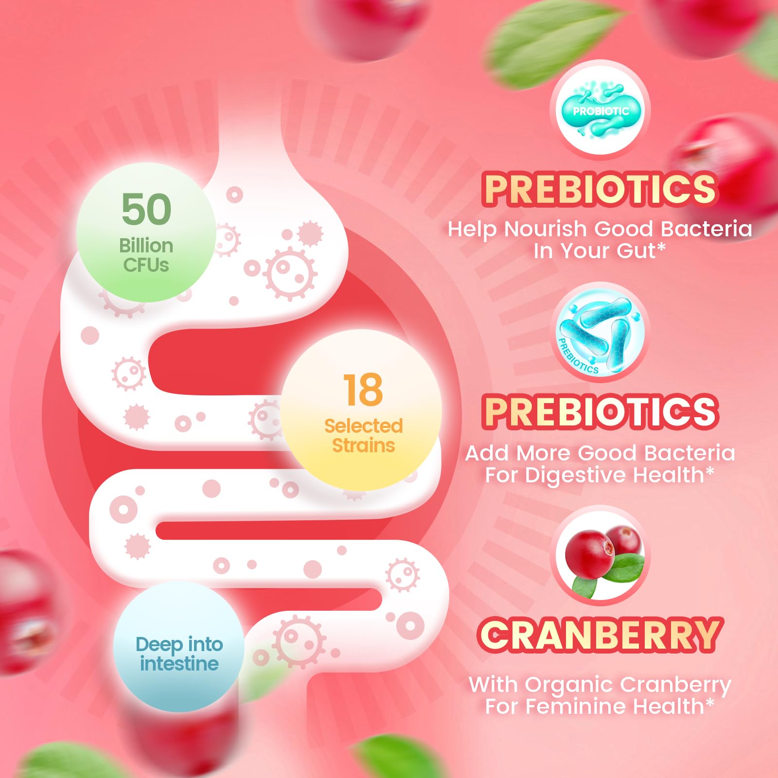 Fresh cranberries symbolize VivoNu probiotics supporting vaginal flora.