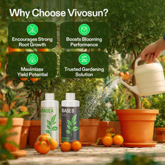 VIVOSUN Base B bottle front showing complementary nutrient blend.
