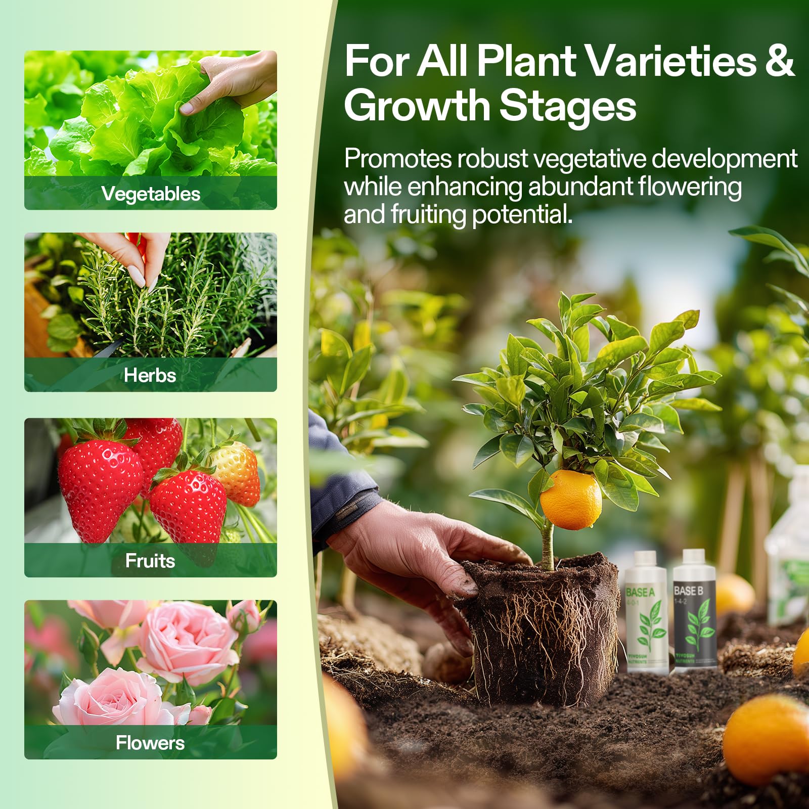 Healthy foliage on plants nourished by VIVOSUN vegetative nutrients.