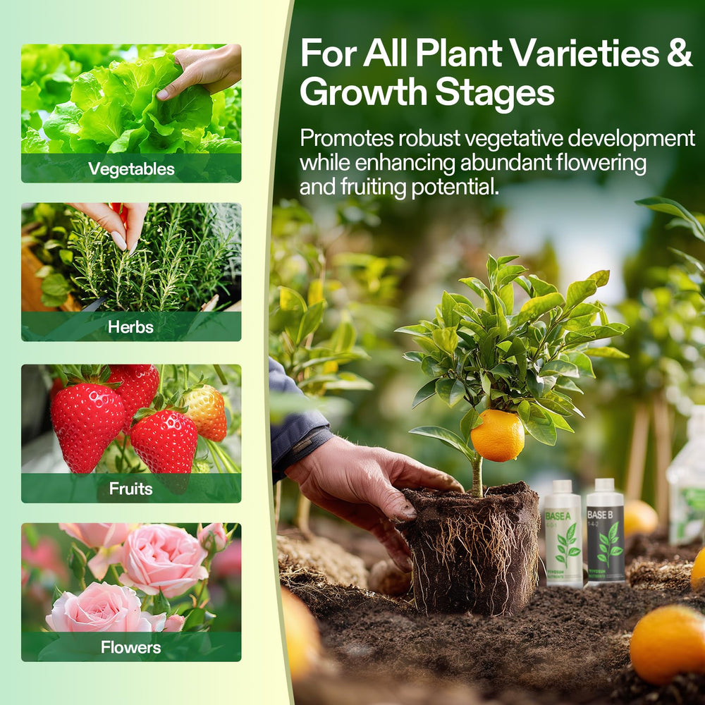 Healthy foliage on plants nourished by VIVOSUN vegetative nutrients.
