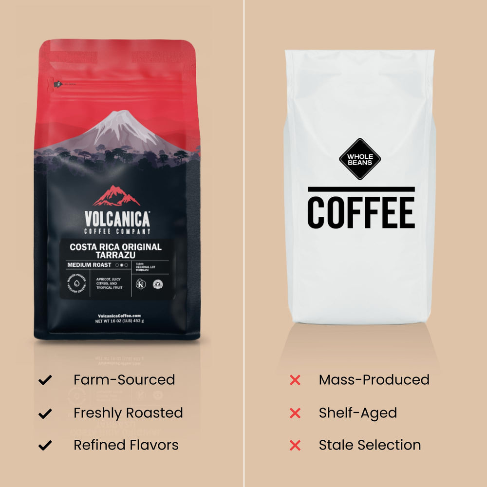 Volcanica Low Acid Coffee scoop on desk for precise, fresh brew