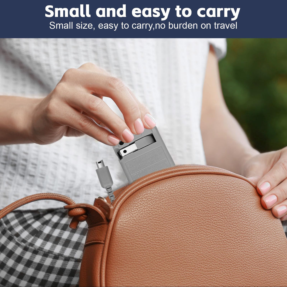 Vranzoral DS Lite Charger accepts 100-240V input for international use.