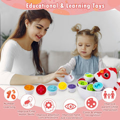 VROGTIK chicken storage box keeps eggs organized for portable play