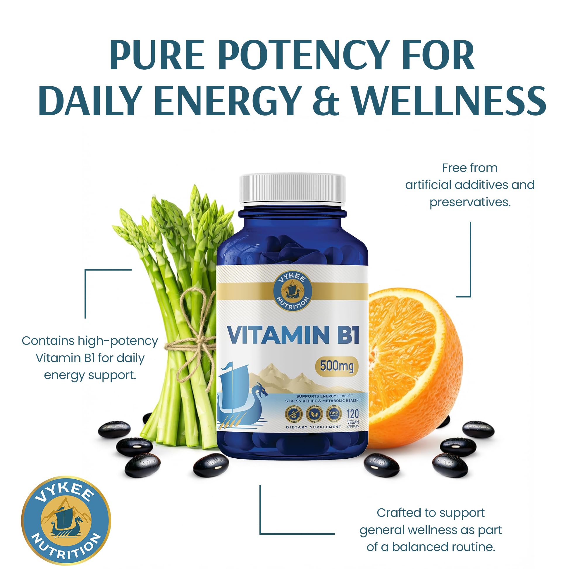Vykee Nutrition Vitamin B1 GMP-certified production facility