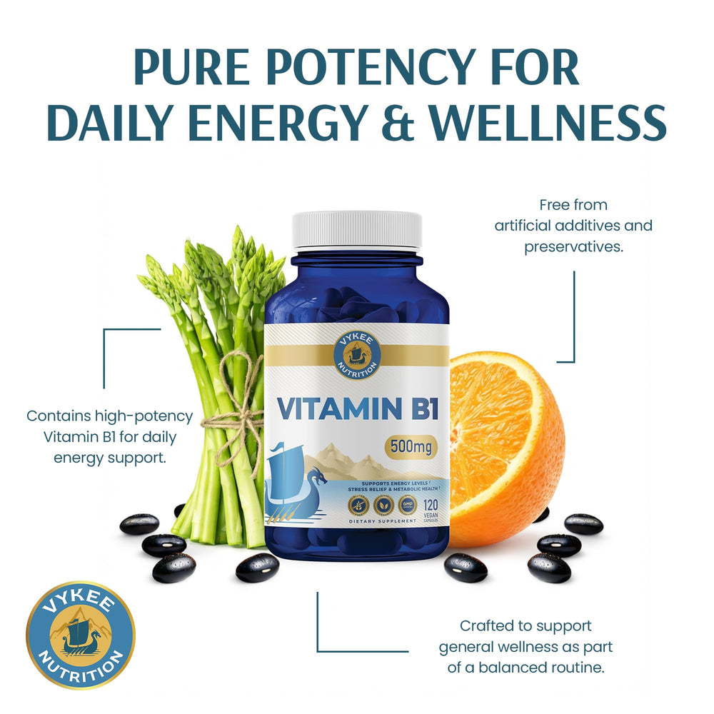 Vykee Nutrition Vitamin B1 GMP-certified production facility