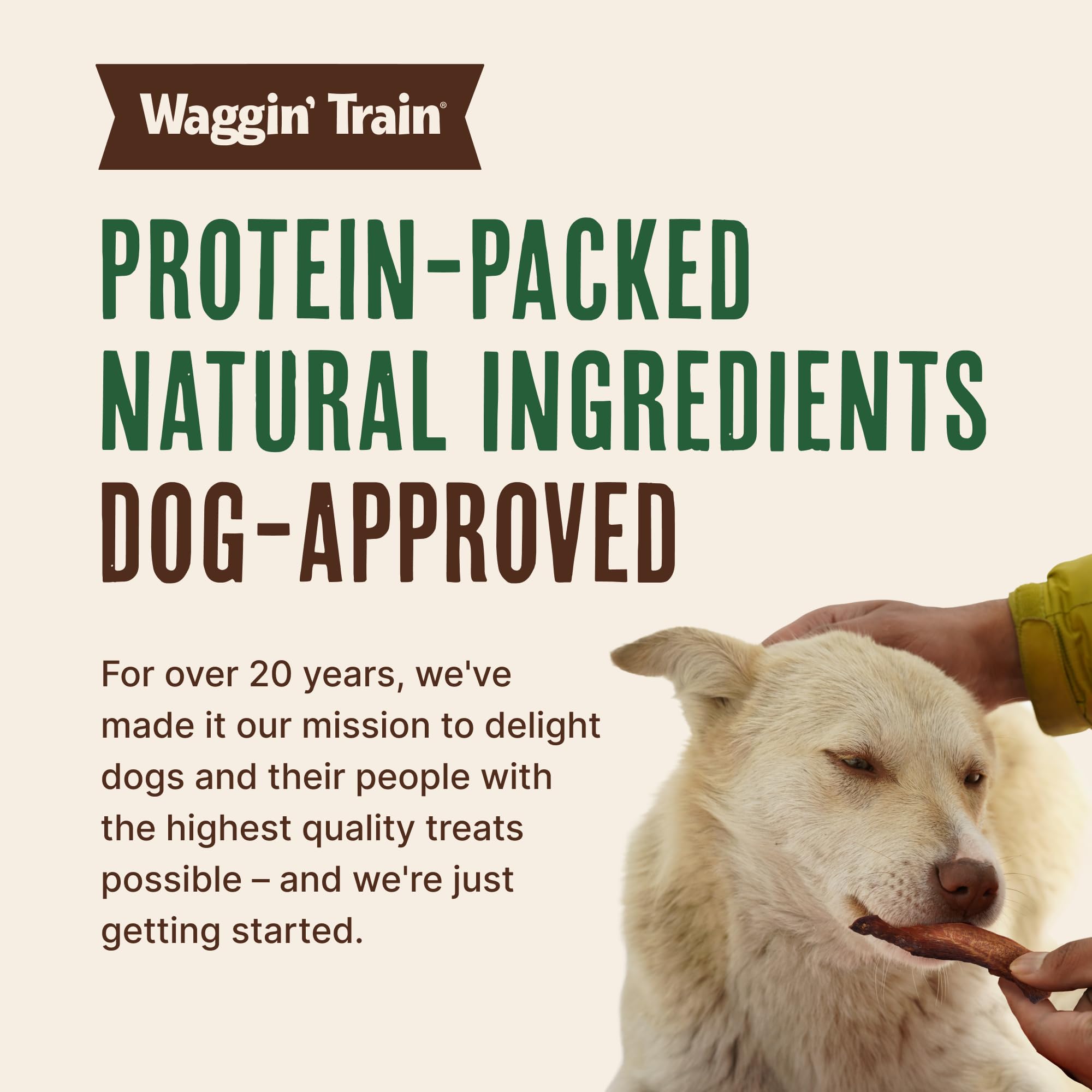 Waggin' Train 24oz pouch image conveys convenient, shareable snack for dogs.