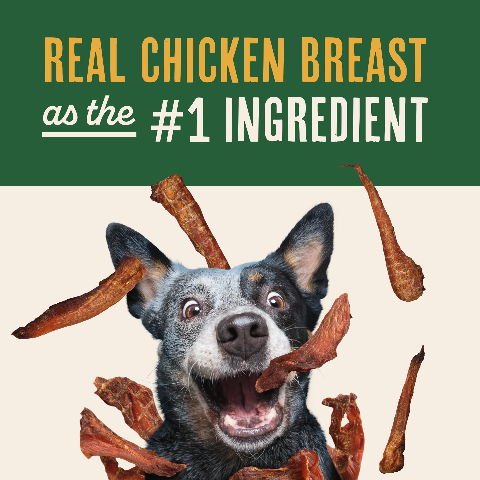 Waggin' Train human-grade bone broth visual emphasizes collagen-rich mix for overall wellness.