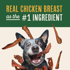 Waggin' Train human-grade bone broth visual emphasizes collagen-rich mix for overall wellness.