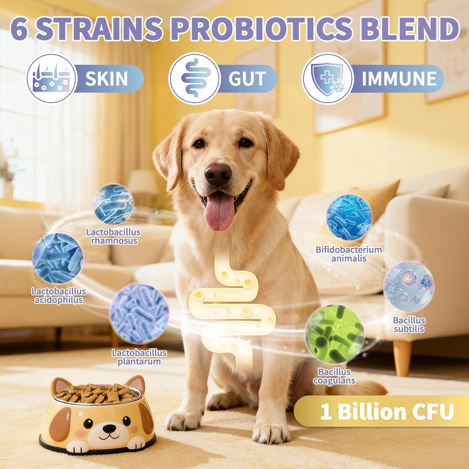 Wagmee probiotic blend supporting gut wellness