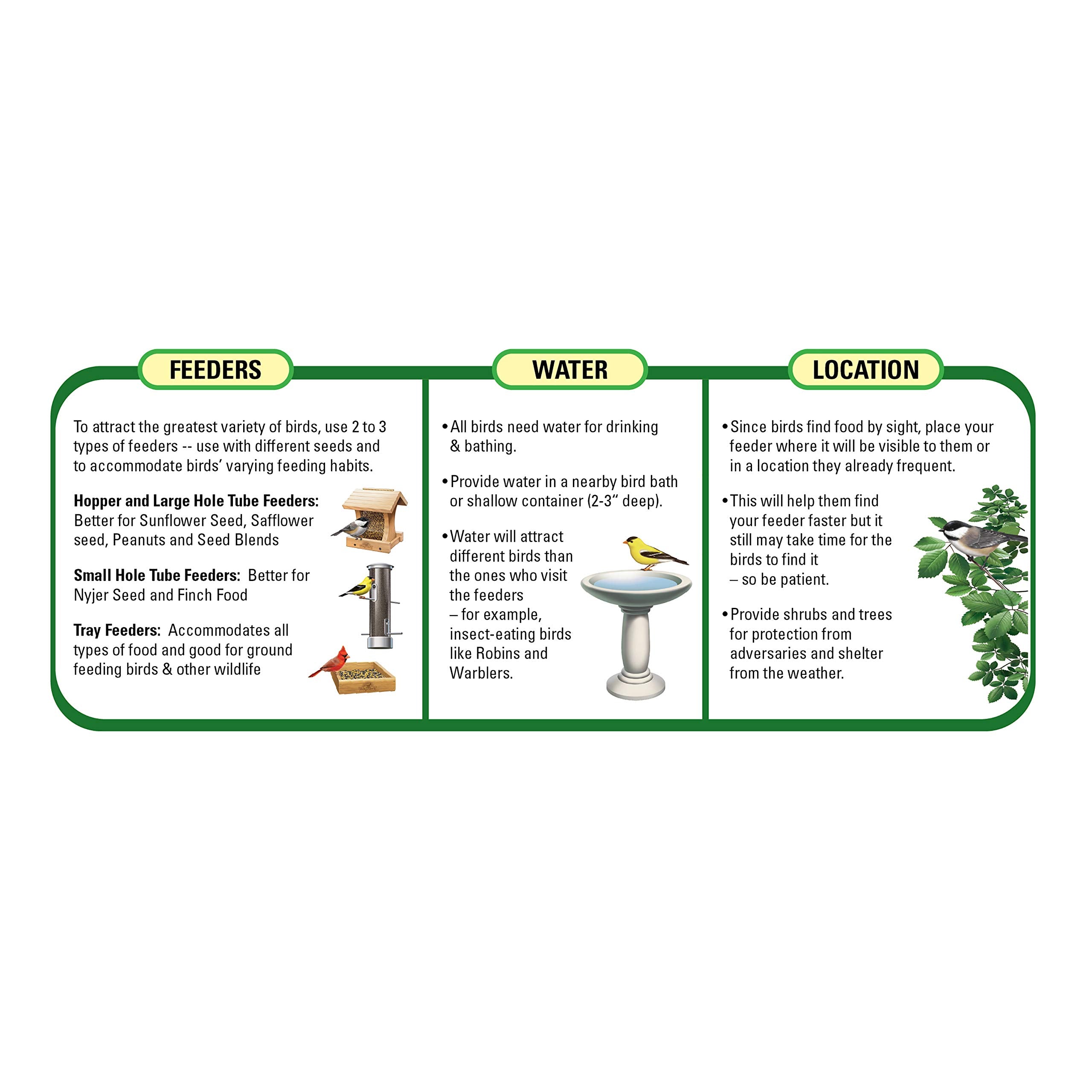Wagner's Deluxe Treat Blend feeder setup shows birds visiting backyard feeders.