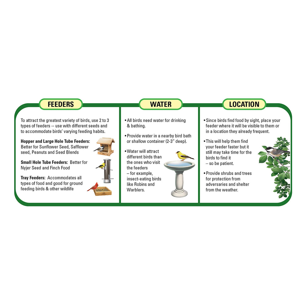 Wagner's Deluxe Treat Blend feeder setup shows birds visiting backyard feeders.