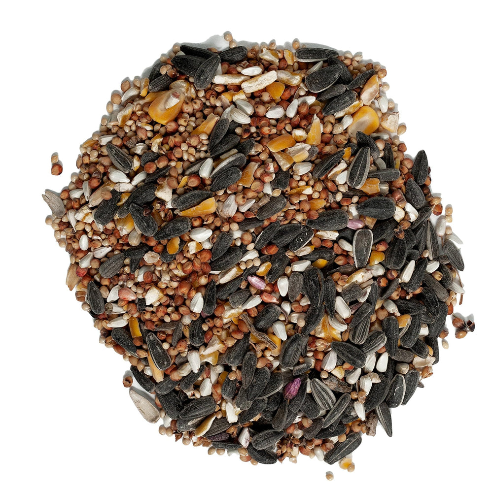 Wagner's Deluxe Treat Blend safflower and sunflower seeds support a variety of birds.