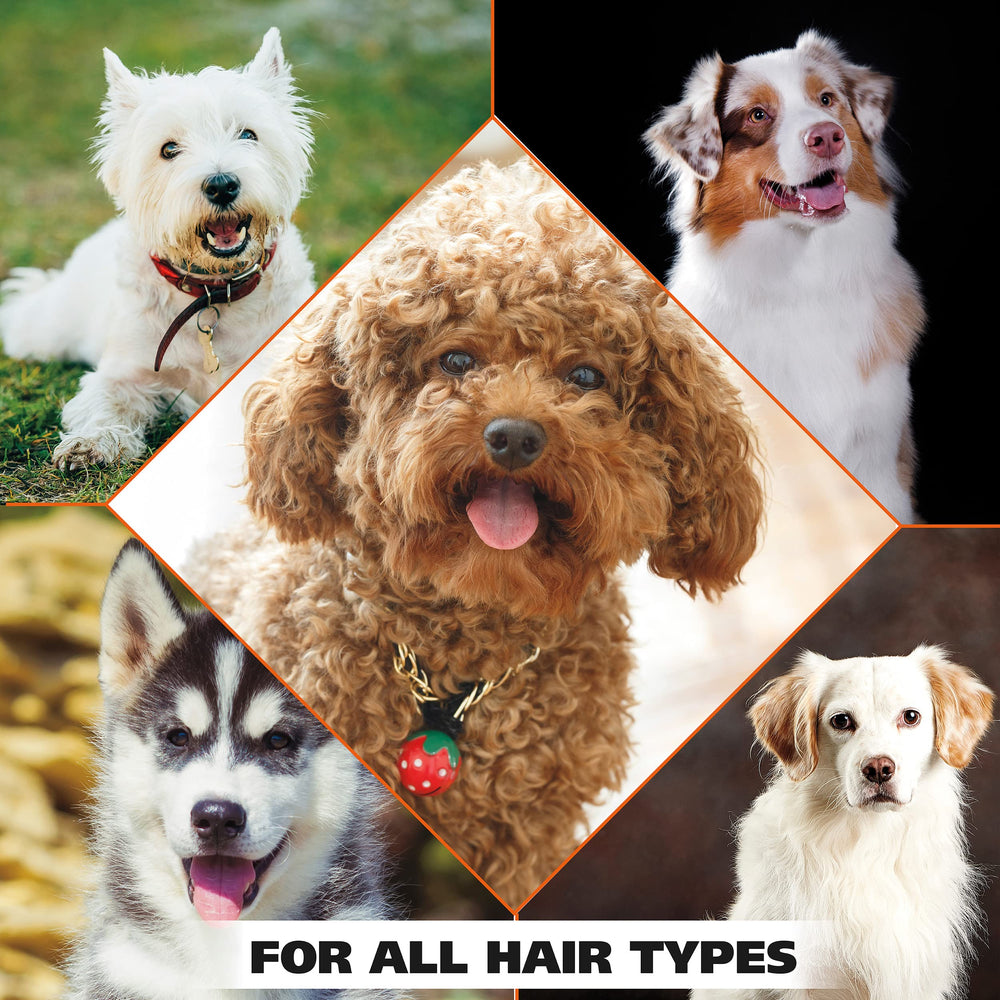Wahl brand heritage image highlights professional veterinary grooming tradition.