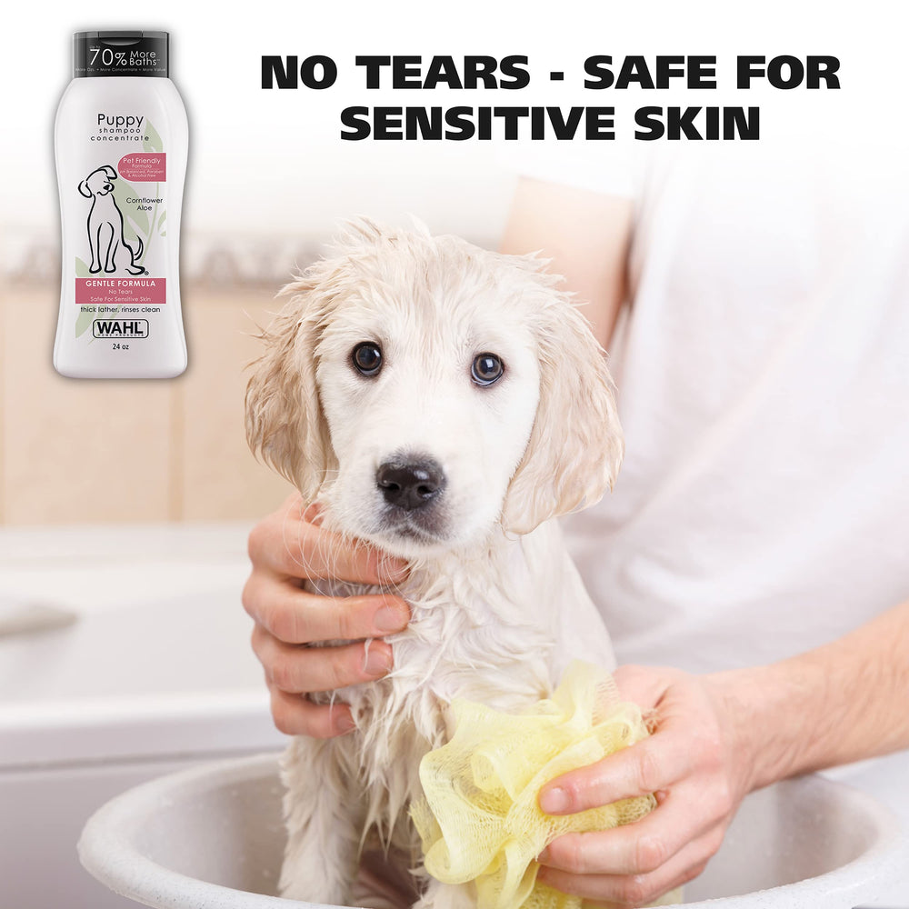 Wahl cornflower scent foam shows rich lather that rinses clean.