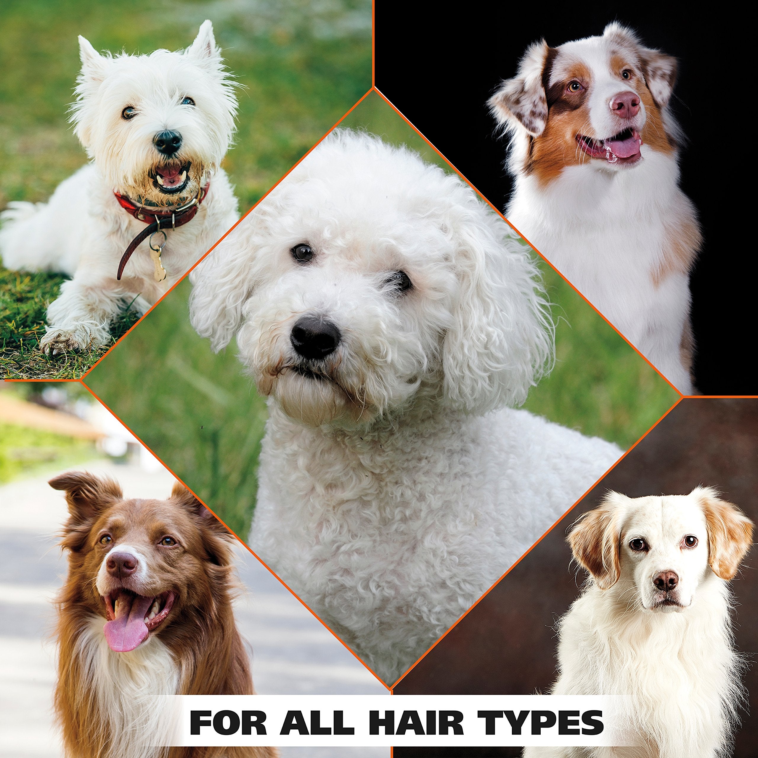 Wahl White Pear Shampoo silky coat result after bath.