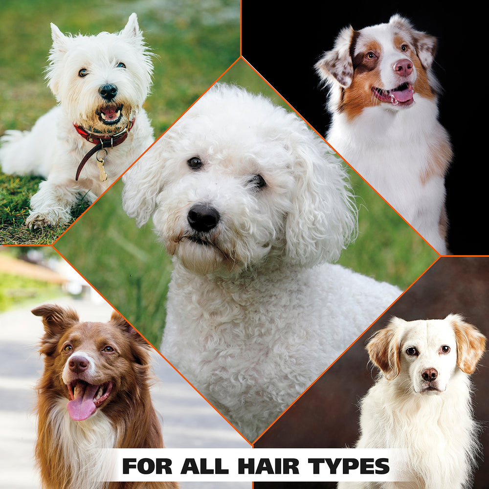 Wahl White Pear Shampoo silky coat result after bath.
