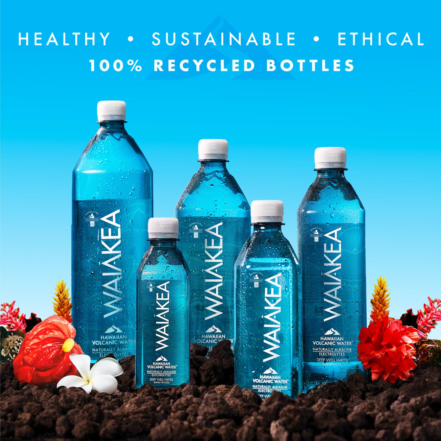 Waiakea 24-pack display for convenient hydration