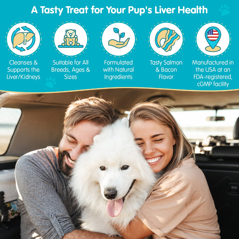 Wanderfound Pets 100 chewable tablets shown for daily dosing