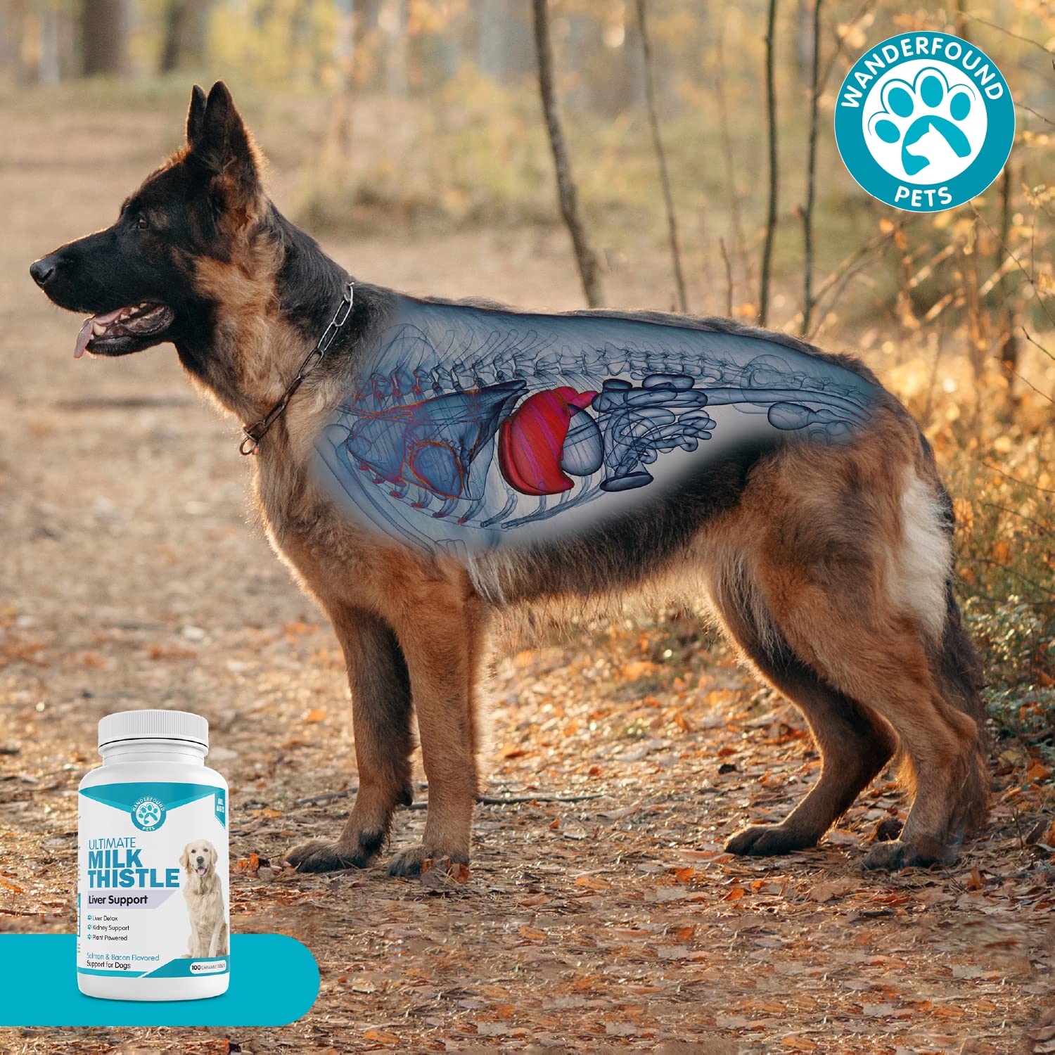 Wanderfound Pets pet parent smiles as dog accepts supplement