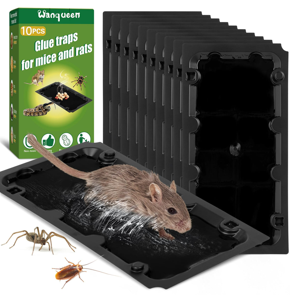 Wanqueen 10-pack sticky trap front view for indoor pest capture.