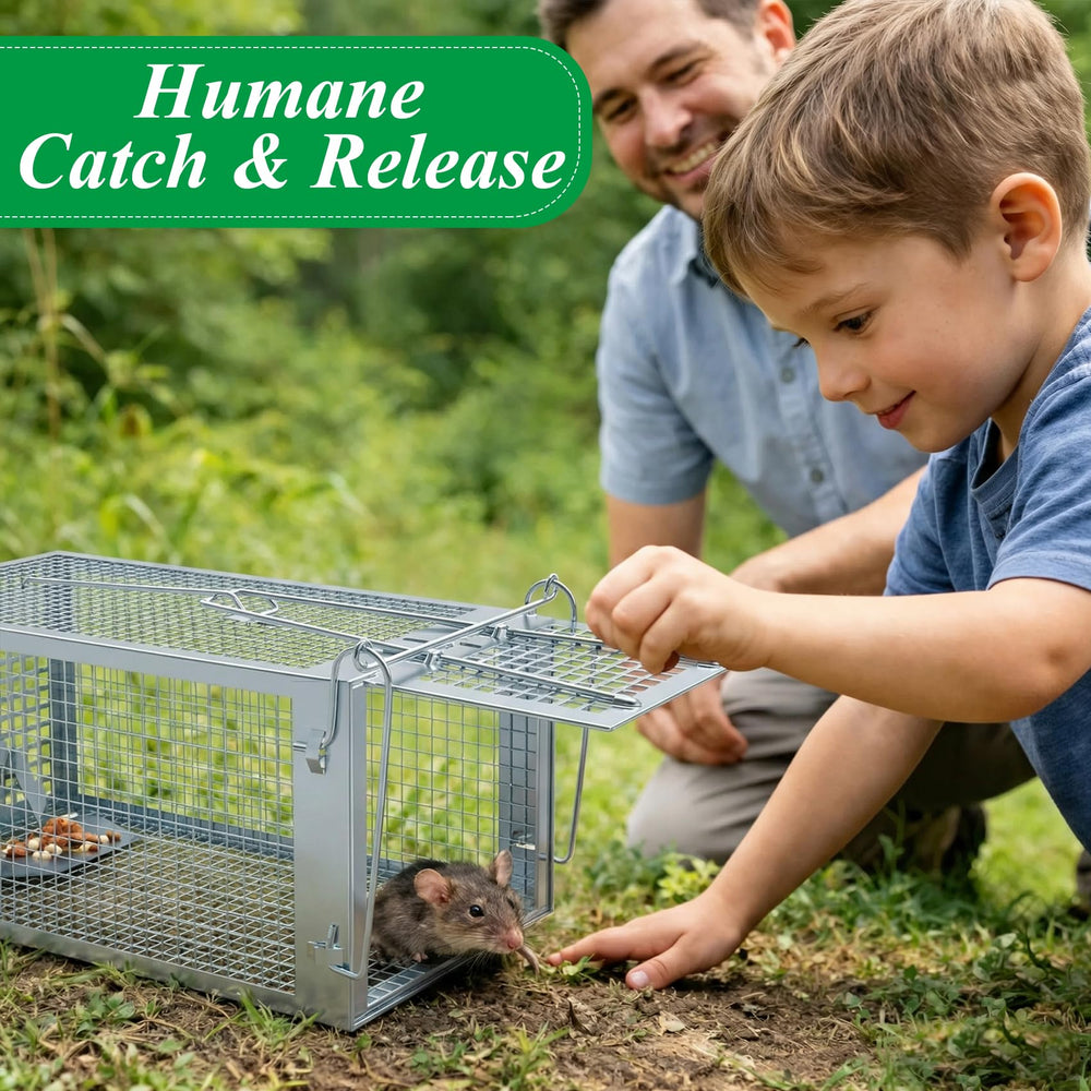 Wanqueen humane mouse trap indoor home-use designed for quick captures