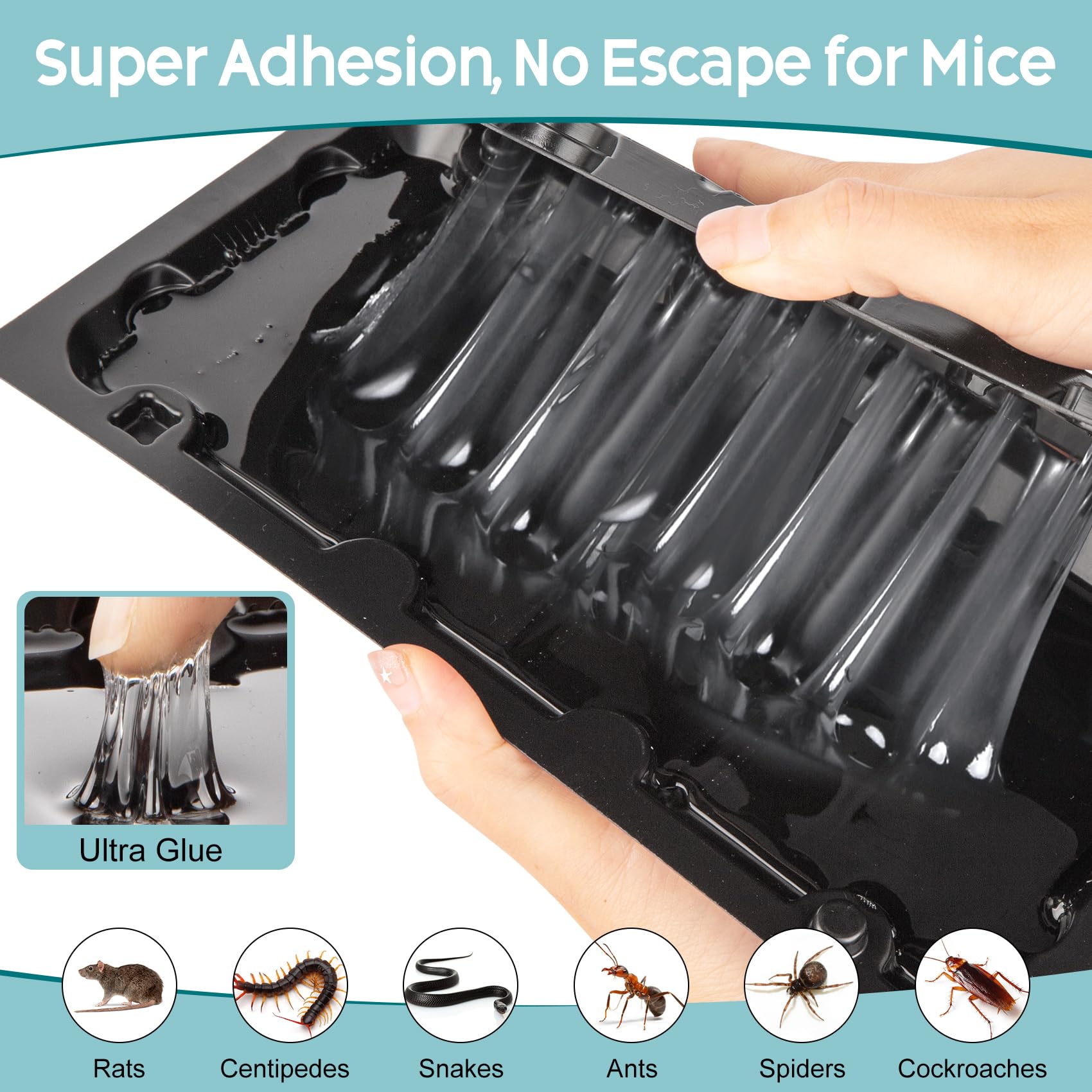 Wanqueen indoor glue trap positioned in a corner for strategic interception.