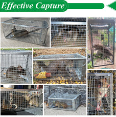 Wanqueen live animal cage catch and release for chipmunk and small rodents