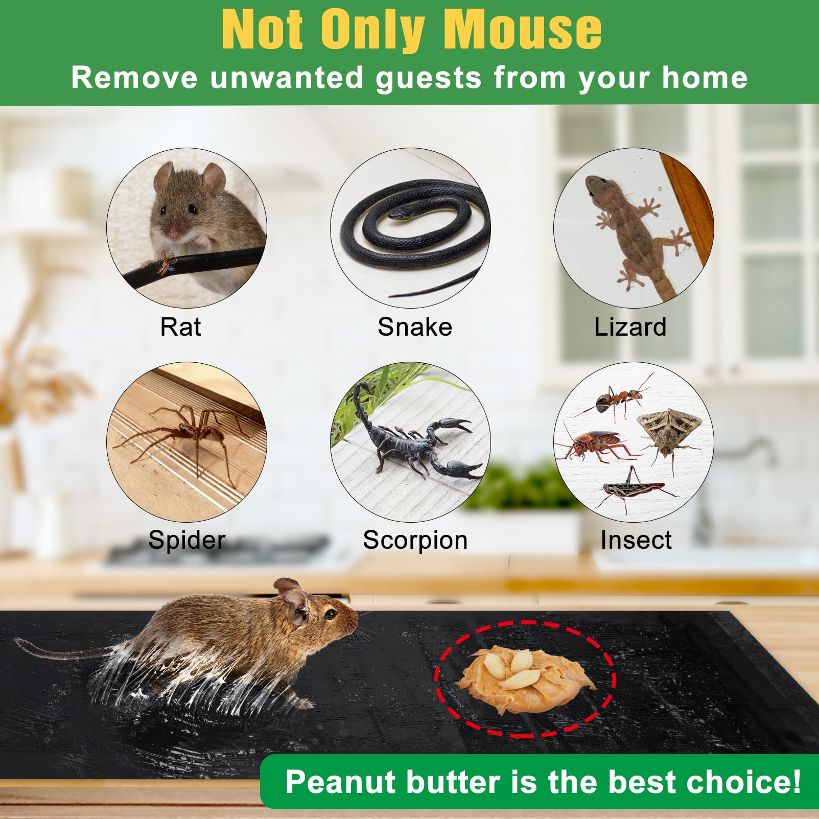 Wanqueen glue trap with cleaning tip shows mineral oil for glue removal