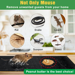 Wanqueen glue trap with cleaning tip shows mineral oil for glue removal