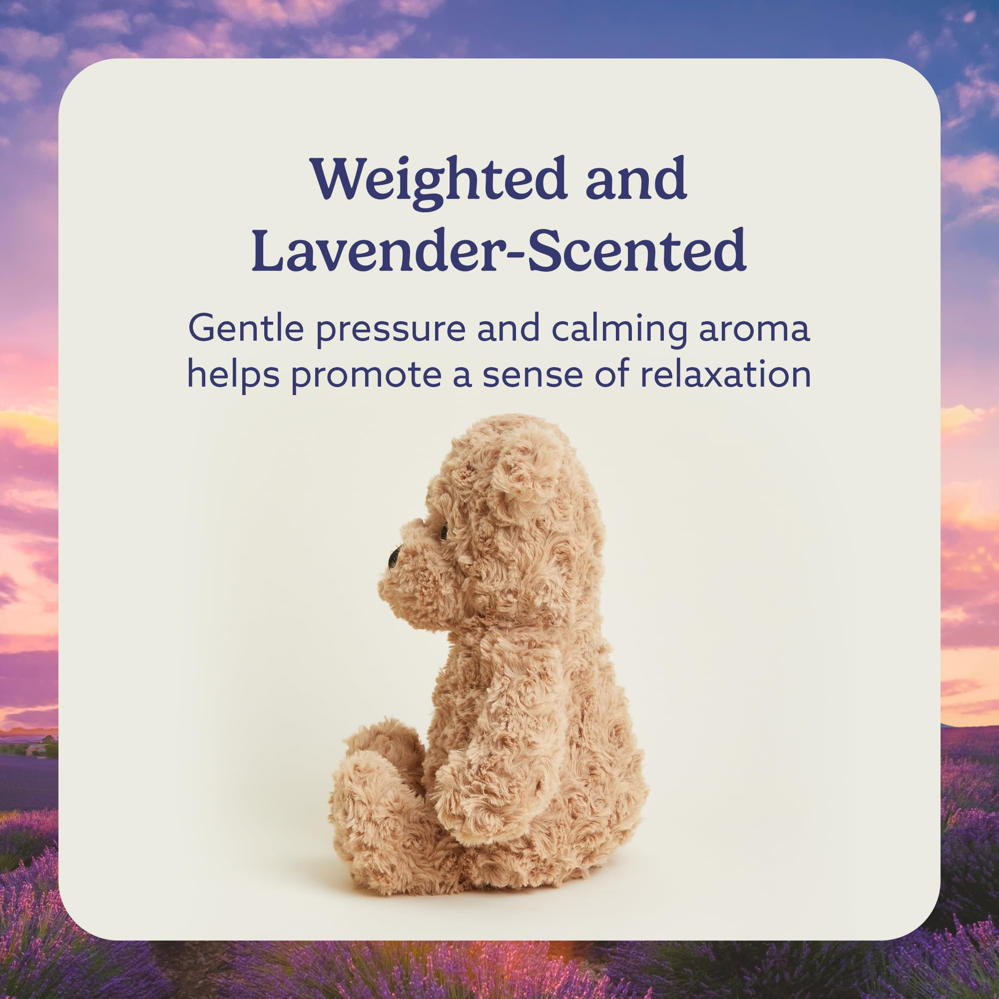 Warmies Brown Curly Bear lavender-scented plush adds a gentle aroma.