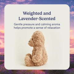 Warmies Brown Curly Bear lavender-scented plush adds a gentle aroma.