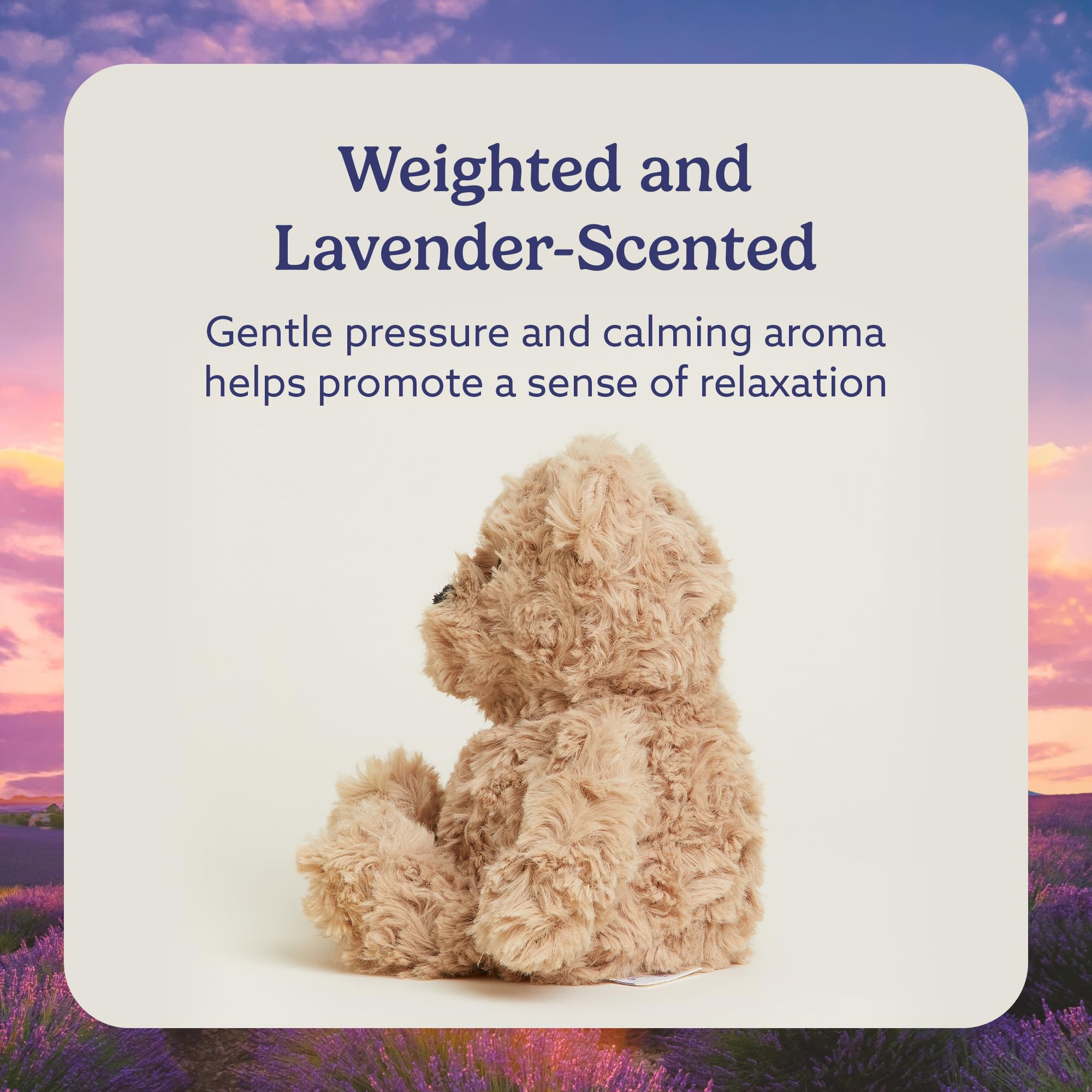 Warmies Junior Brown Curly Bear heating in microwave provides cozy warmth for chilly nights.