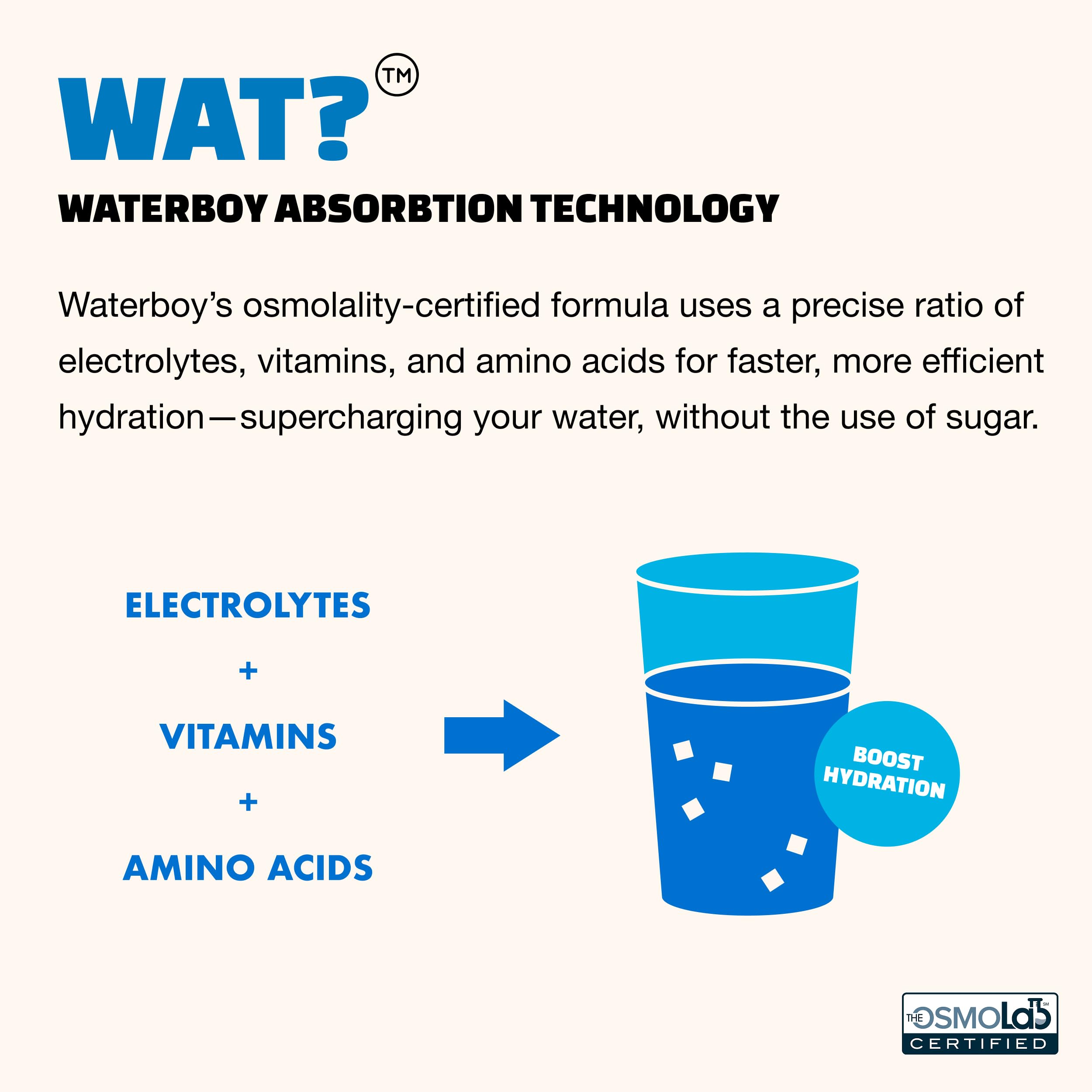Waterboy Weekend Recovery gluten-free stick for gluten-aware hydration
