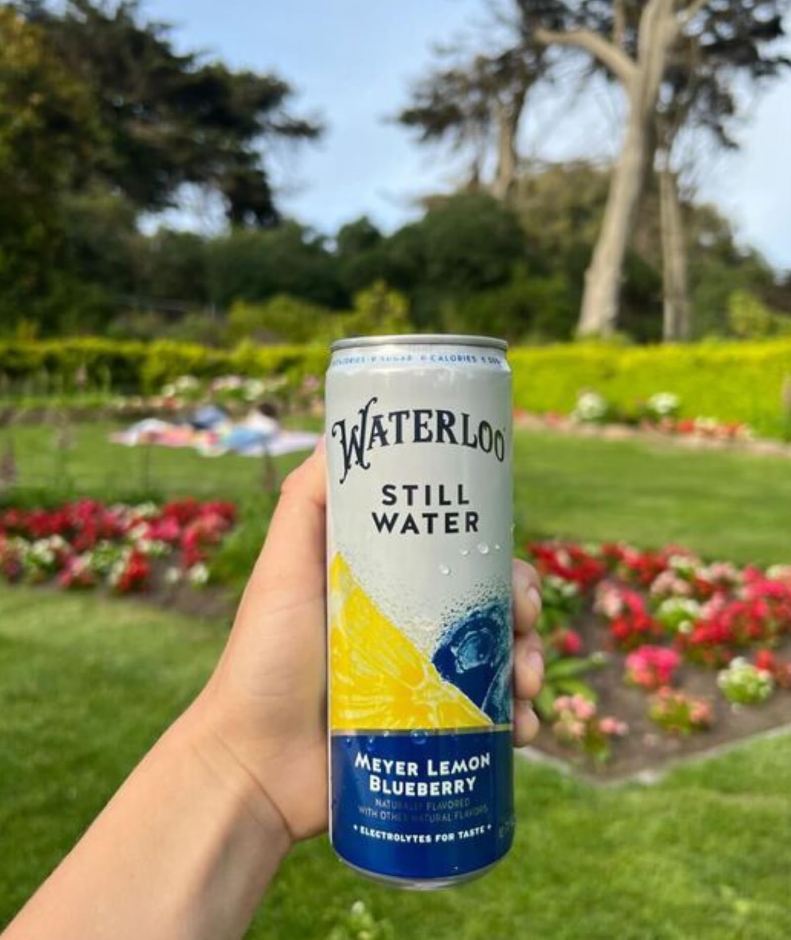 Chilled Waterloo Meyer Lemon Blueberry Still Water can with condensation invites refreshing sips.
