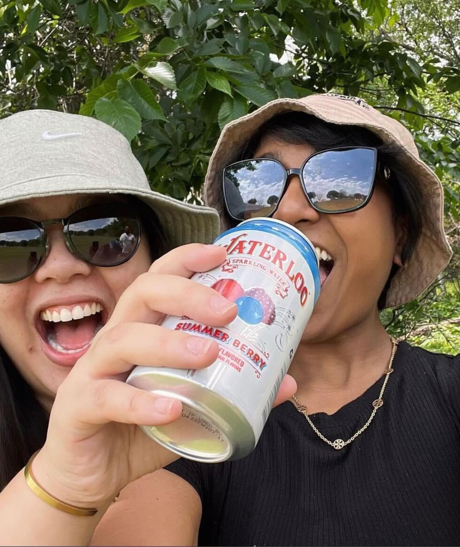 Waterloo Summer Berry is a refreshing, calorie-free daily option