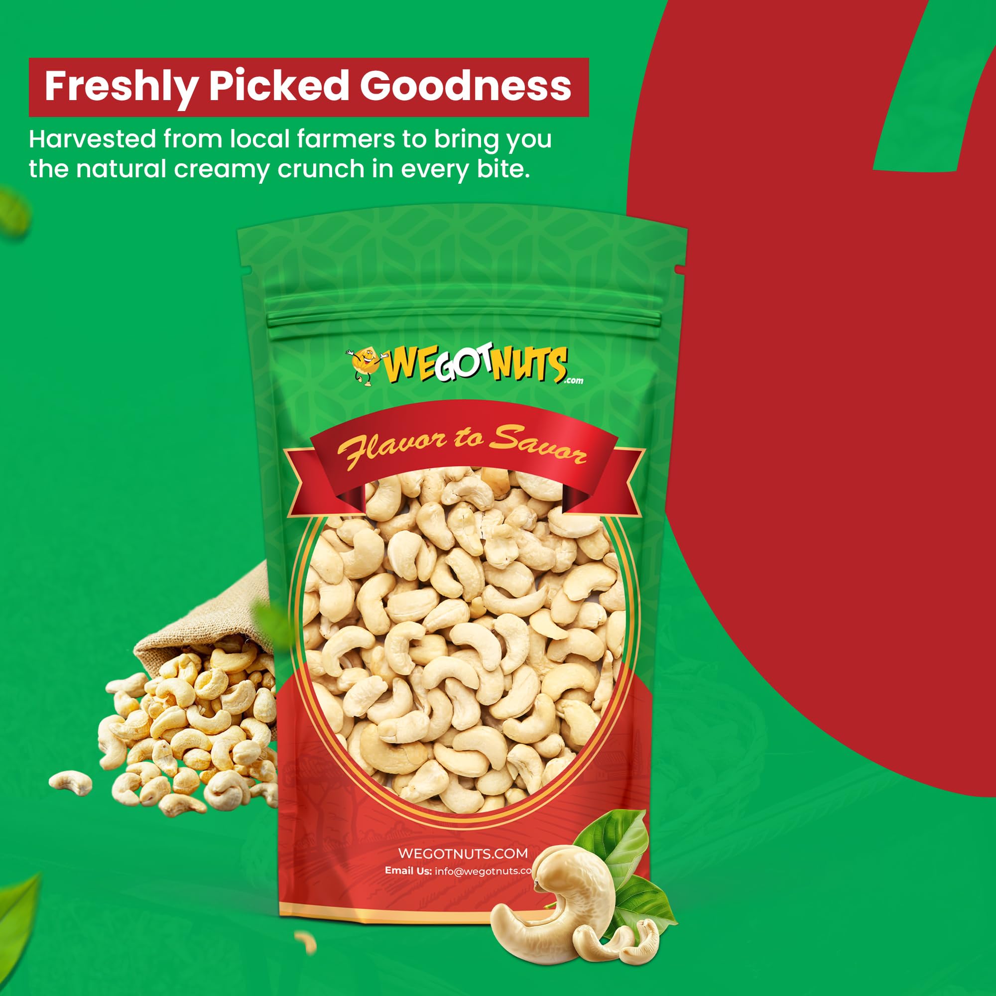 Close-up of We Got Nuts cashews showing natural texture and crunch.