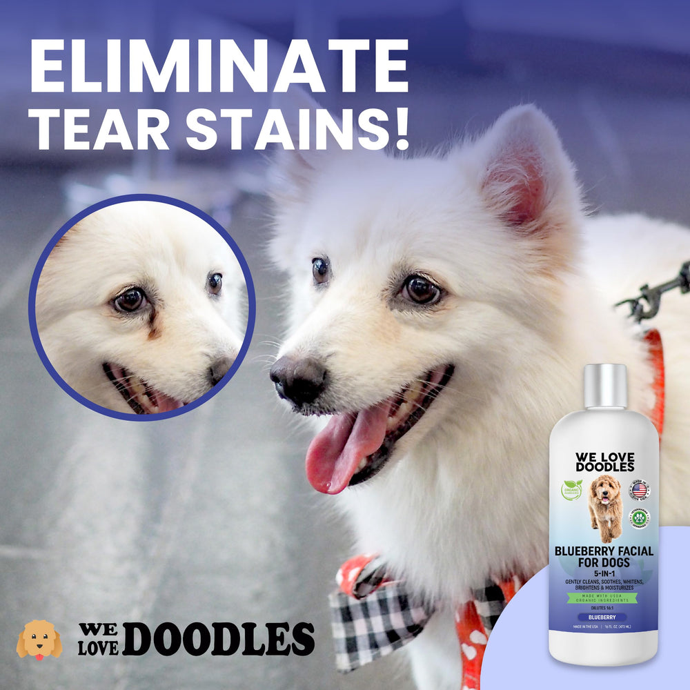 We Love Doodles Blueberry Facial Dog Shampoo brightens coat while remaining gentle.
