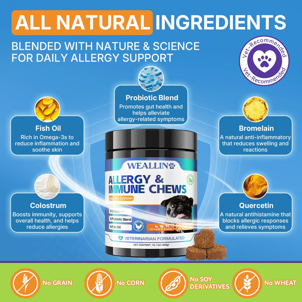 WEALLIN Dog Allergy Relief Chews being given to dog for daily comfort and itch relief.