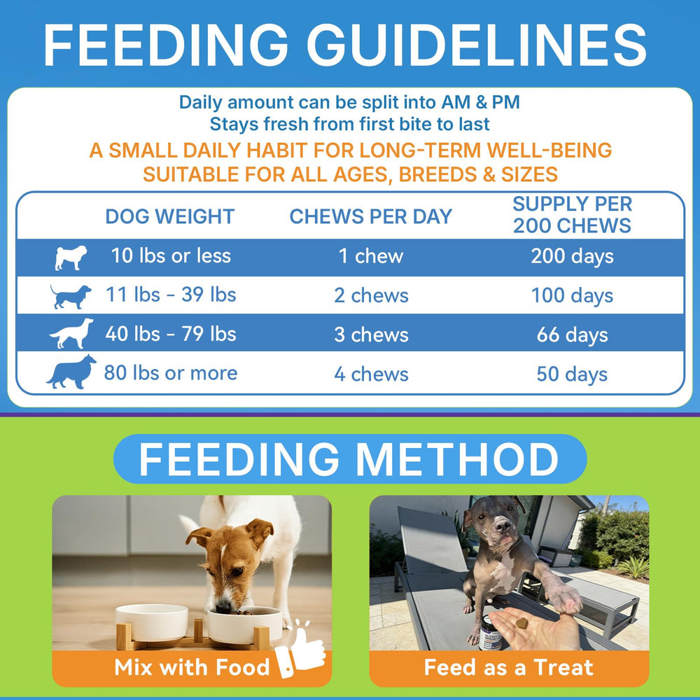 WEALLIN Dog Allergy Relief Chews illustration focusing on dry skin support.