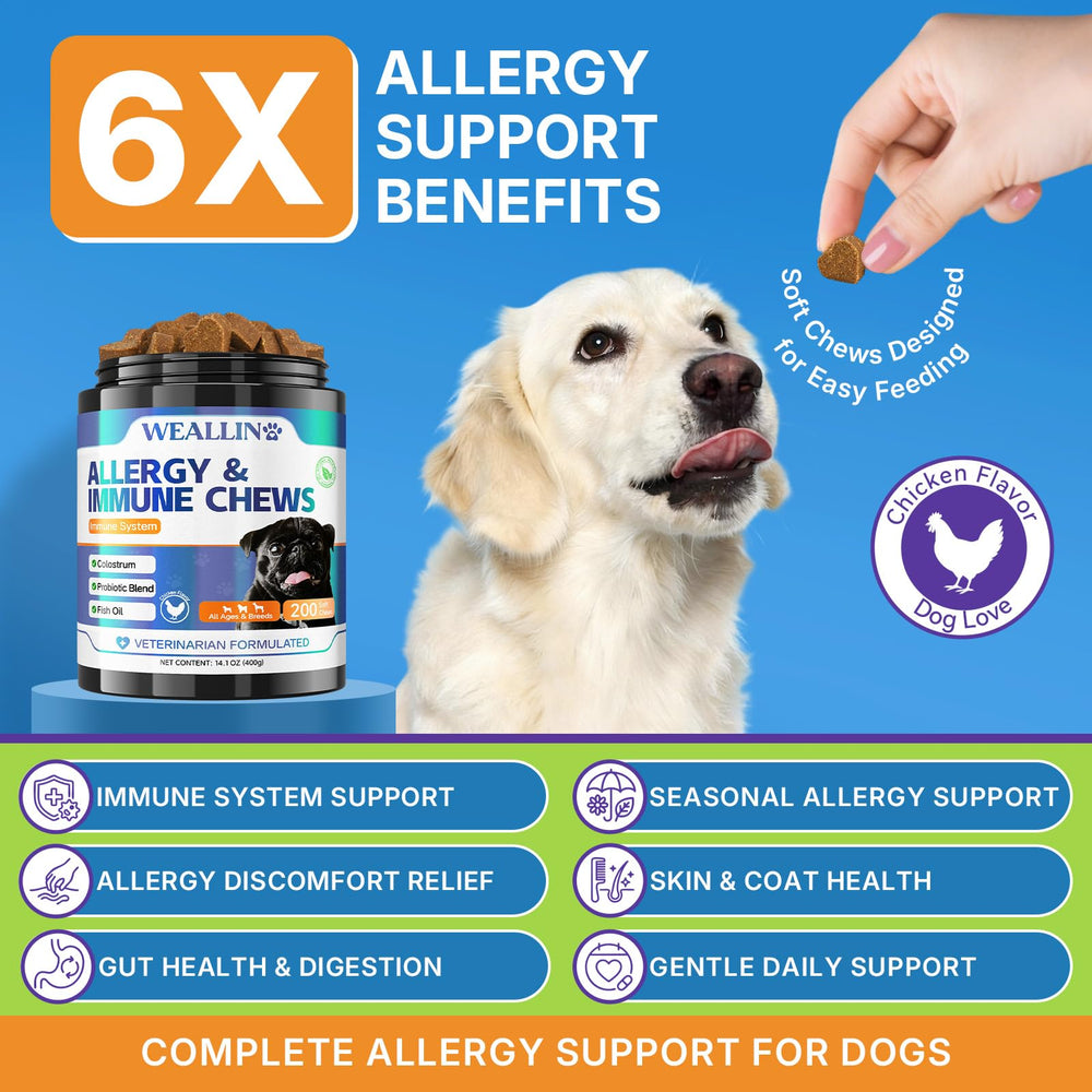 WEALLIN Dog Allergy Relief Chews treats close-up highlighting chewy texture for picky dogs.
