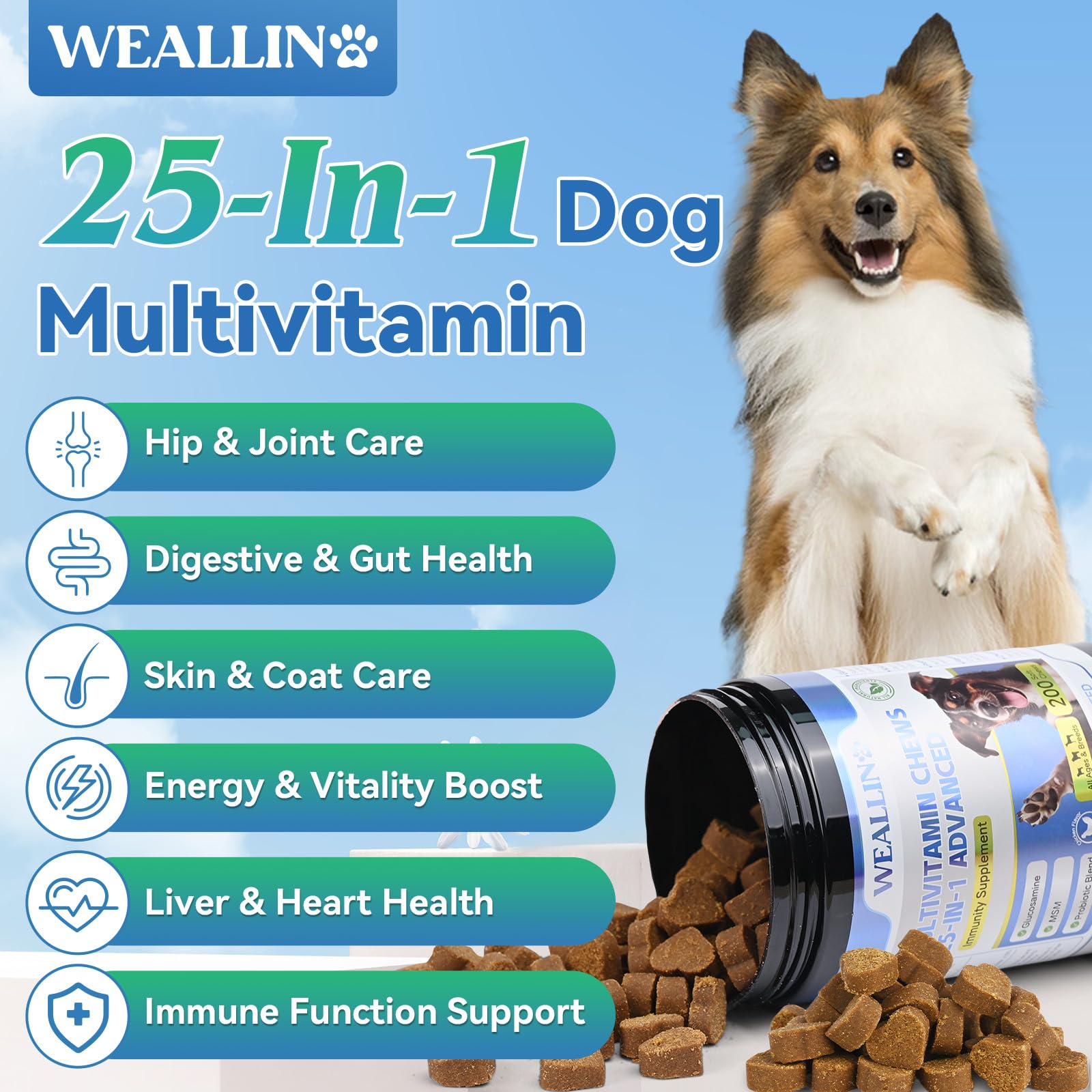 WEALLIN dog vitamins coat-shine promoting healthy skin and glossy fur