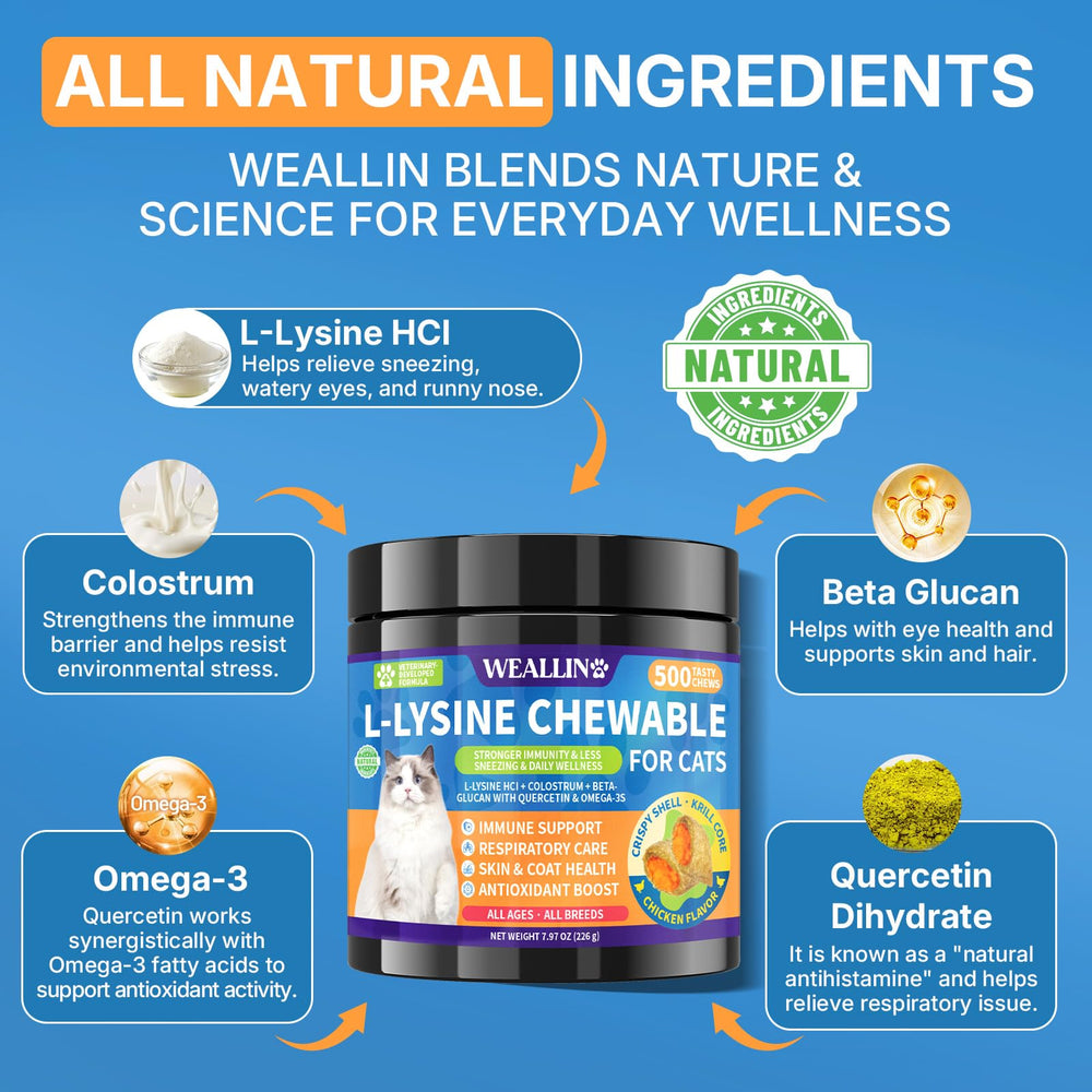 WEALLIN L-Lysine chews chicken-flavor close-up signals tasty option for daily use