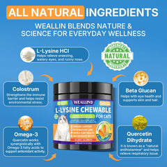 WEALLIN L-Lysine chews chicken-flavor close-up signals tasty option for daily use