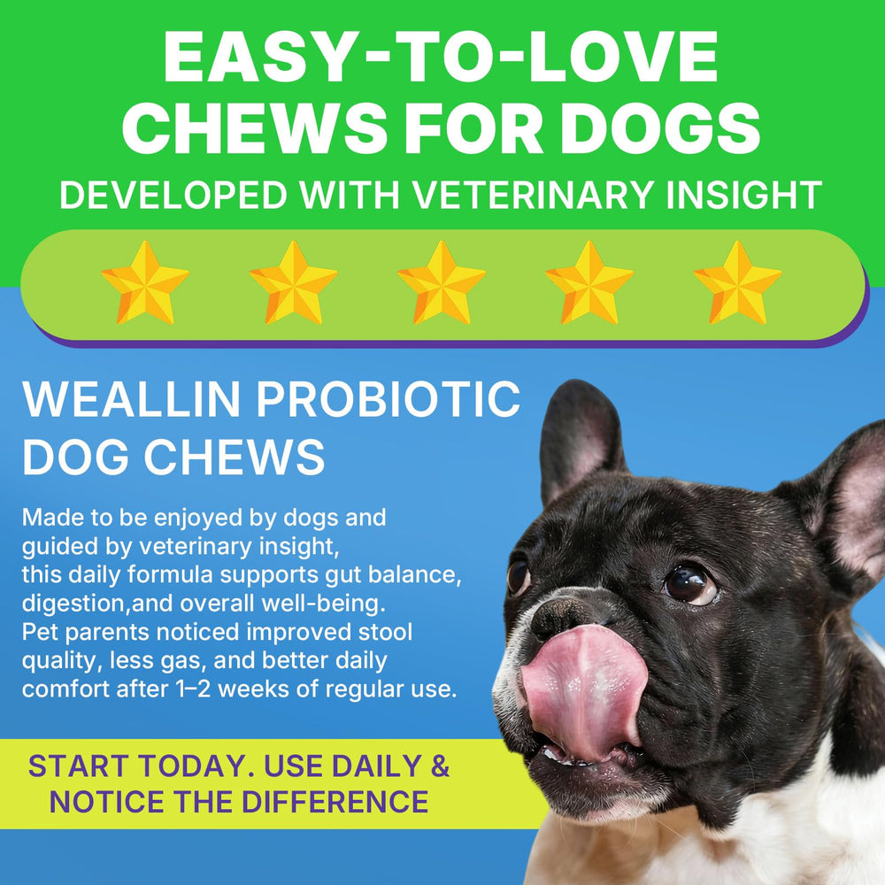 WEALLIN probiotics for dogs 200-chews per jar – long-lasting digestive support
